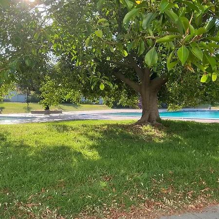 Vilanova Lägenhet Albufeira